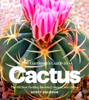 Bild des Verkufers fr The Gardener's Guide to Cactus The 100 Best Paddles, Barrels, Columns, and Globes Special Collection zum Verkauf von Collectors' Bookstore