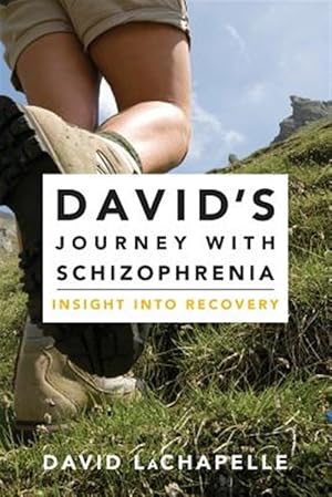 Imagen del vendedor de David's Journey With Schizophrenia : Insight into Recovery a la venta por GreatBookPrices