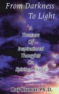 Seller image for From Darkness to Light (Paperback or Softback) for sale by BargainBookStores