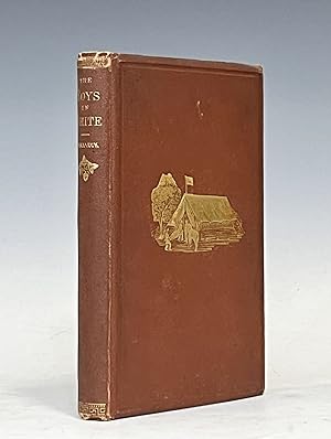 Seller image for The Boys In White; the Experience of a Hospital Agent In and Around Washington for sale by Vintage Books and Fine Art