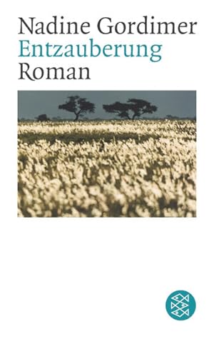 Seller image for Entzauberung: Roman Roman for sale by Antiquariat Buchhandel Daniel Viertel