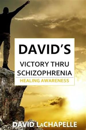 Bild des Verkufers fr David's Victory Thru Schizophrenia : Healing Awareness zum Verkauf von GreatBookPricesUK