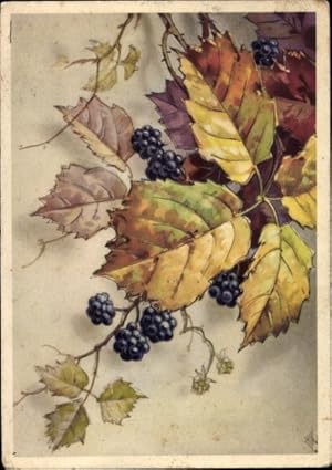 Künstler Ansichtskarte / Postkarte Brombeeren, Herbstlaub