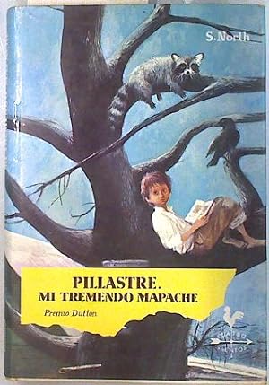 Seller image for PILLASTRE MI TREMENDO MAPACHE for sale by Librovicios