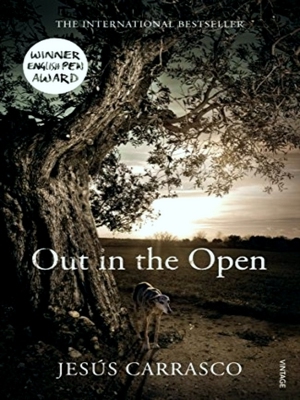 Seller image for Out In The Open for sale by Collectors' Bookstore