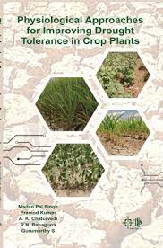 Seller image for Physiological Approaches for Improving Drought Tolerance in Crops Plants for sale by Vedams eBooks (P) Ltd