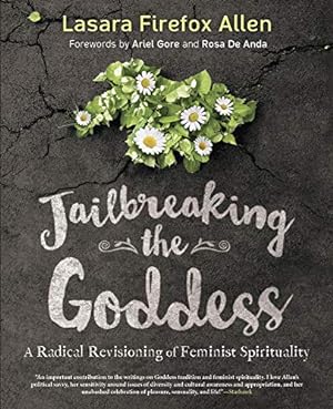 Immagine del venditore per Jailbreaking the Goddess: A Radical Revisioning of Feminist Spirituality venduto da WeBuyBooks