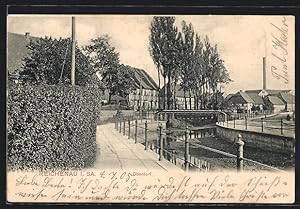 Ansichtskarte Reichenau i. Sa., Strassenpartie am Fluss im Oberdorf