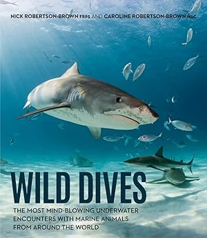 Wild Dives: The Most Mind-Blowing Underwater Encounters With Marine Animals From Around the World