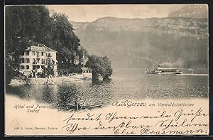 Ansichtskarte Gersau am Vierwaldstättersee, Hotel und Pension Seehof, Dampfer
