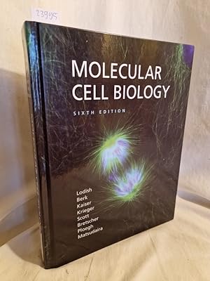 Seller image for Molecular Cell Biology (6th Edition). for sale by Versandantiquariat Waffel-Schrder