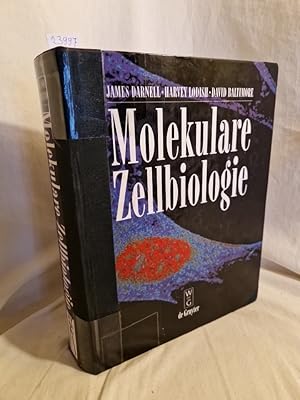 Imagen del vendedor de Molekulare Zellbiologie. a la venta por Versandantiquariat Waffel-Schrder