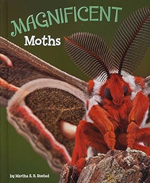 Immagine del venditore per Magnificent Moths (A+ Books: Marvellous Minibeasts!) venduto da WeBuyBooks