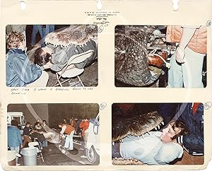 Alligator (Archive of material from the 1980 film, including 240 vernacular photographs, a manusc...