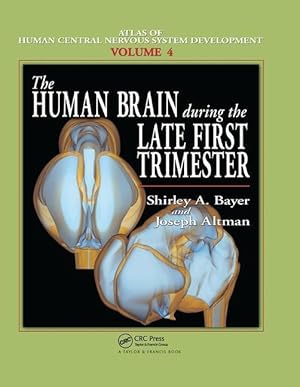 Seller image for Bayer, S: The Human Brain During the Late First Trimester for sale by moluna