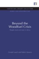 Seller image for Beyond the Woodfuel Crisis for sale by moluna
