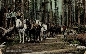 Bild des Verkufers fr Ansichtskarte / Postkarte New Westminster British Columbia Kanada, Logging Scene zum Verkauf von akpool GmbH