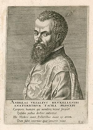 (Brüssel 31. 12. 1514 - 15. 10. 1564 Zakynthos). Flämischer Arzt und Begründer der modernen Anato...