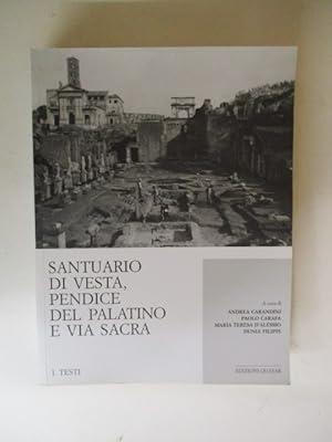Santuario di Vesta, pendice del Palatino e Via sacra : scavi 1985-2016