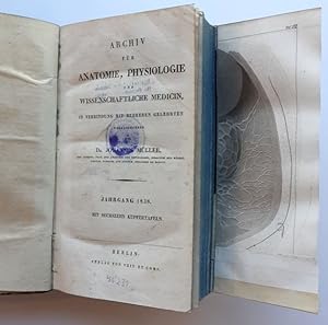 Archiv für Anatomie, Physiologie und Wissenschaftliche Medizin. - Jg. 1838