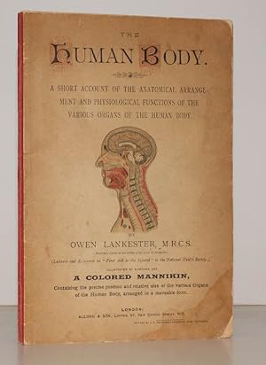 The Human Body. A Short Account of the Anatomical Arrangement & Physiological Functions of the va...