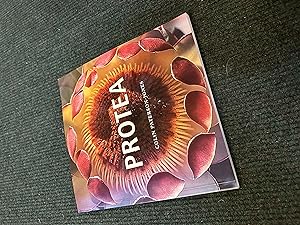 Seller image for Protea for sale by The Berwyn Bookshop