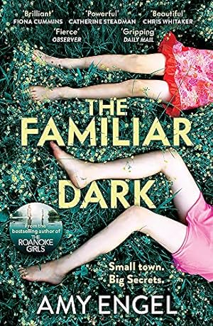Seller image for The Familiar Dark: The must-read, utterly gripping thriller you won't be able to put down for sale by WeBuyBooks 2