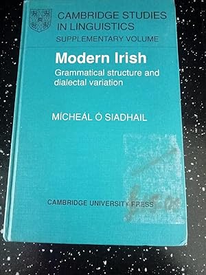 Seller image for MODERN IRISH for sale by Happyfish Books