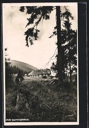 Ansichtskarte Wittighaus, Berghütte von einer Bergwiese aus gesehen