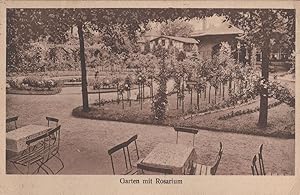 Strandlust Vegesack Garten Mit Rosarium Knobilch German Old Postcard