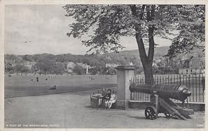 A Peep Of The North Inch Military Cannon at Perth Scotland Old Postcard