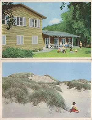 Vandrerhjemmet Lady Sewing Garden Party 2x Denmark Postcard s