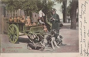 Belgium Laitiere Flamande Cart Policeman Dogs Old Postcard