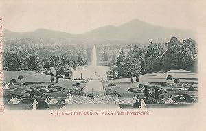 Sugar Loaf Mountains Powerscourt Antrim Irish Old Postcard