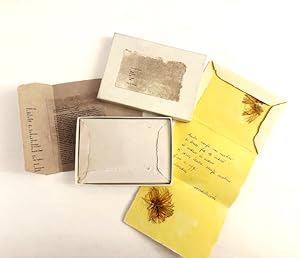 Immagine del venditore per 6 lettere d'amore per Amedea venduto da Libreria Giorgio Maffei