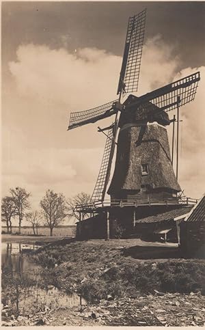 Ommen Korenmolen Windmill Den Oord Dutch Old Postcard