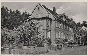 Haus Paula Braunlage Harzburger Strasse German Postcard