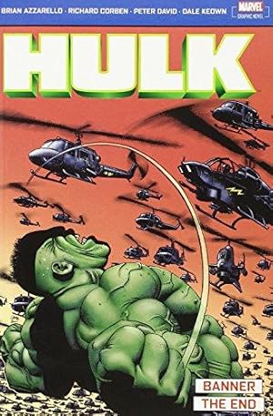 Imagen del vendedor de Incredible Hulk: Banner & The End a la venta por WeBuyBooks 2