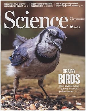 Science Magazine: Brainy Birds (15 September 2023, Vol 381, No.6663)