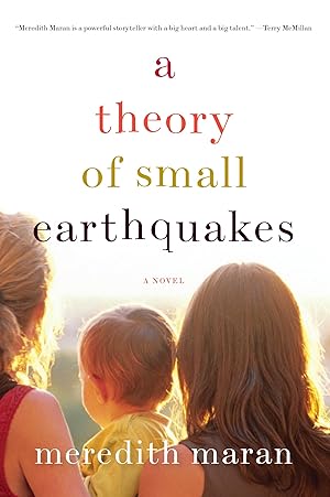 Imagen del vendedor de A Theory of Small Earthquakes a la venta por moluna