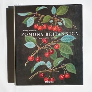 Image du vendeur pour Pomona Britannica : the complete plates mis en vente par Gebrauchtbcherlogistik  H.J. Lauterbach