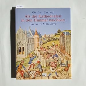 Als die Kathedralen in den Himmel wuchsen : Bauen im Mittelalter