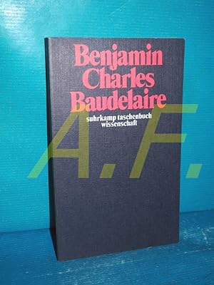 Bild des Verkufers fr Charles Baudelaire : ein Lyriker im Zeitalter des Hochkapitalismus (suhrkamp-taschenbcher wissenschaft 47) zum Verkauf von Antiquarische Fundgrube e.U.