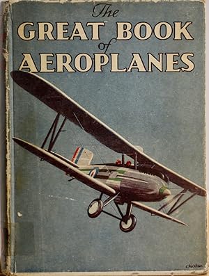 The great book of aeroplanes