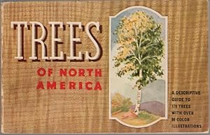 Seller image for Trees You Want to Know: Trees of North America: A Descriptive Guide to 178 Trees for sale by Clausen Books, RMABA