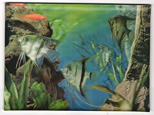 Seller image for 3D-Ansichtskarte Fische schwimmen durch das Aquarium for sale by Bartko-Reher