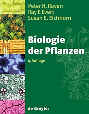 Imagen del vendedor de Biologie der Pflanzen Peter H. Raven ; Ray F. Evert ; Susan E. Eichhorn. Hrsg. der dt. bers. Thomas Friedl . bers. B. Biskup . a la venta por Berliner Bchertisch eG