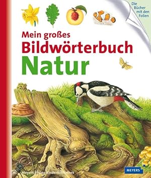 Bild des Verkufers fr Mein groes Bildwrterbuch Natur zum Verkauf von Studibuch