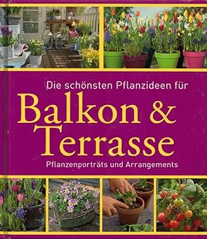 Bild des Verkufers fr Die schnsten Pflanzideen fr Balkon & Terrasse: Pflanzenportrts und Arrangements. zum Verkauf von Buch von den Driesch