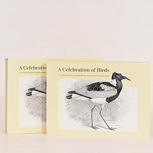Celebration of Birds